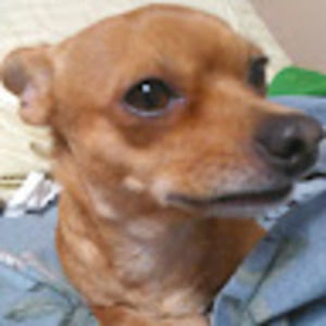 Meet your Posher, Charlotte